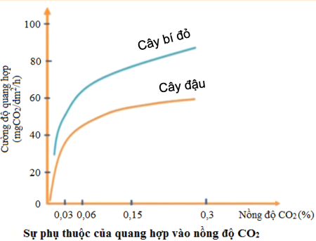 ảnh hưởng của CO2 đến quang hợp olm